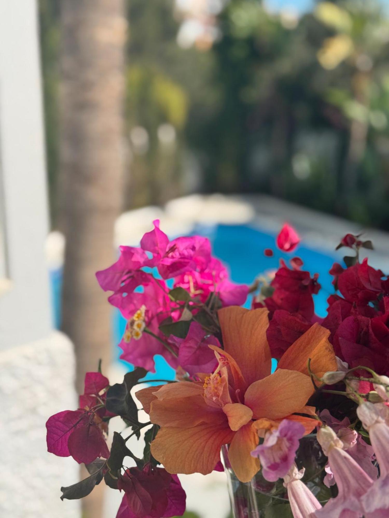 Villa Nerja Kültér fotó